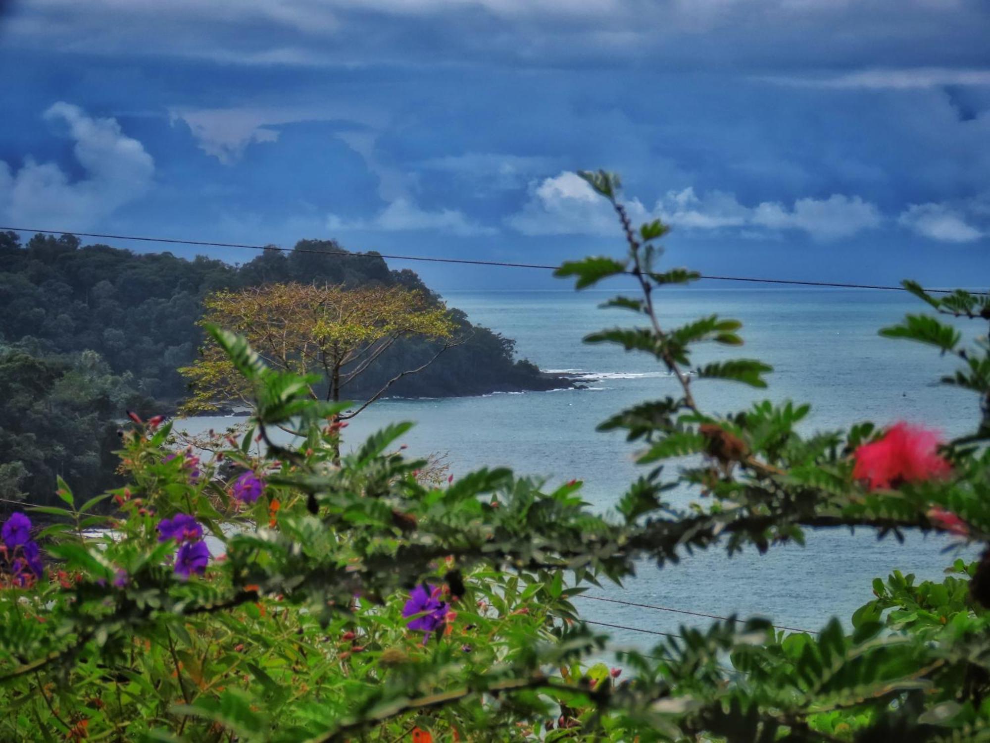Bella Vista Corcovado Ξενοδοχείο Drakes Bay Εξωτερικό φωτογραφία
