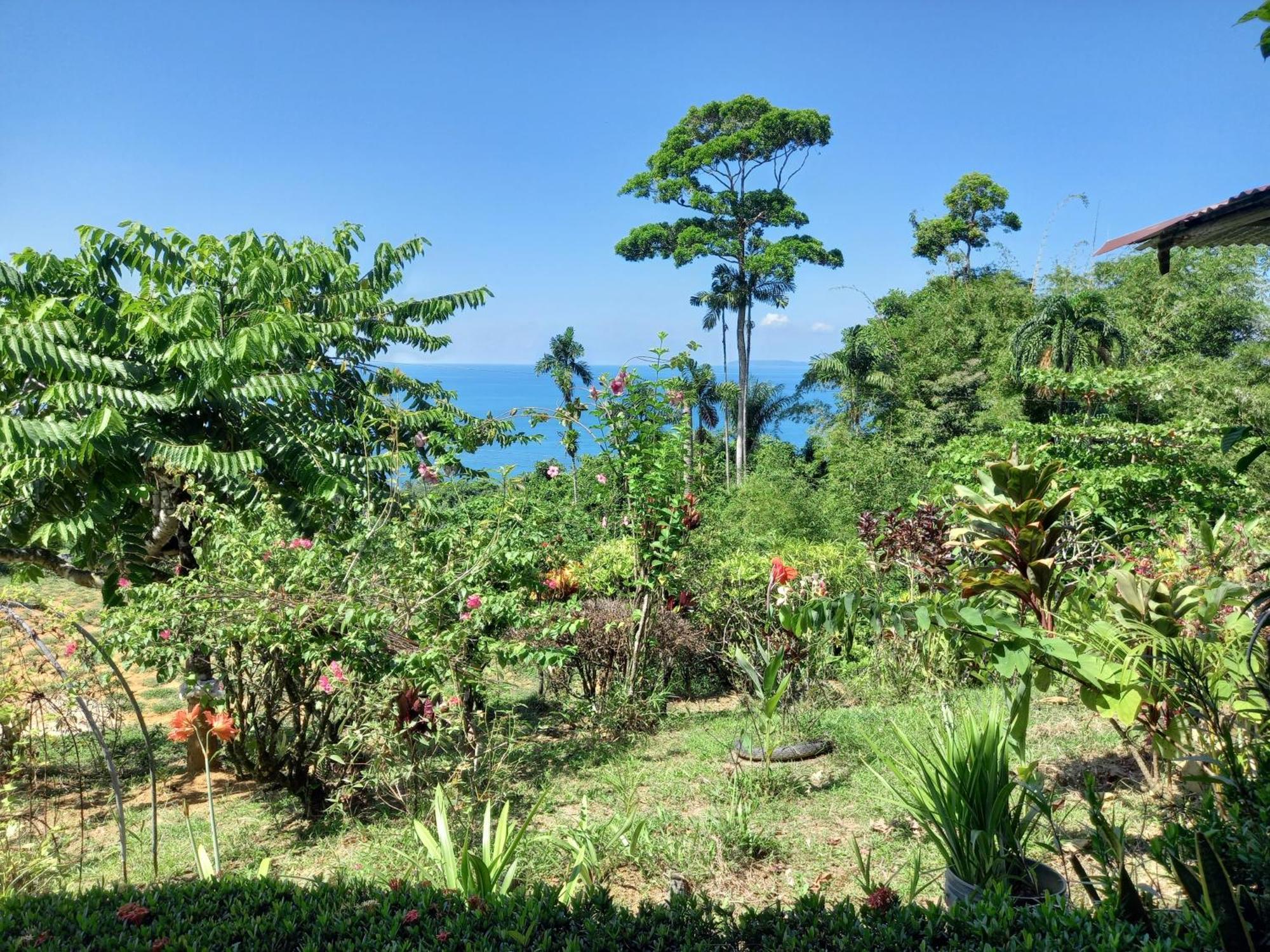 Bella Vista Corcovado Ξενοδοχείο Drakes Bay Δωμάτιο φωτογραφία