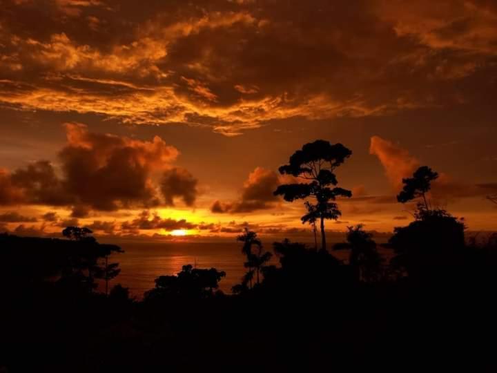 Bella Vista Corcovado Ξενοδοχείο Drakes Bay Εξωτερικό φωτογραφία